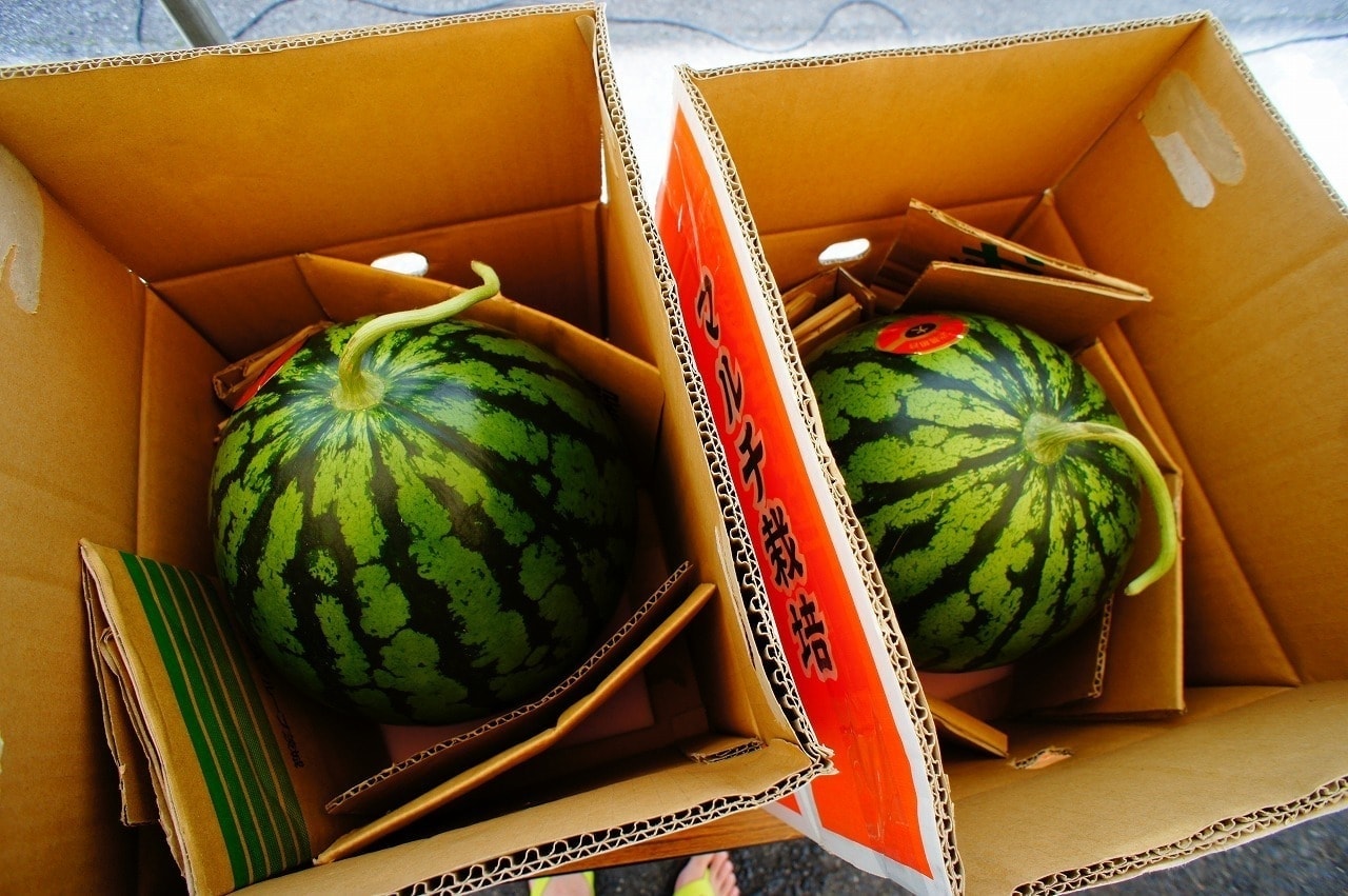 らっしゃい大子百円街(100円商店街) スタンプラリーの景品のスイカ