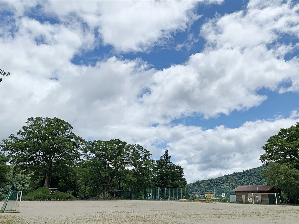 茨城・大子　だいご小　大ケヤキ