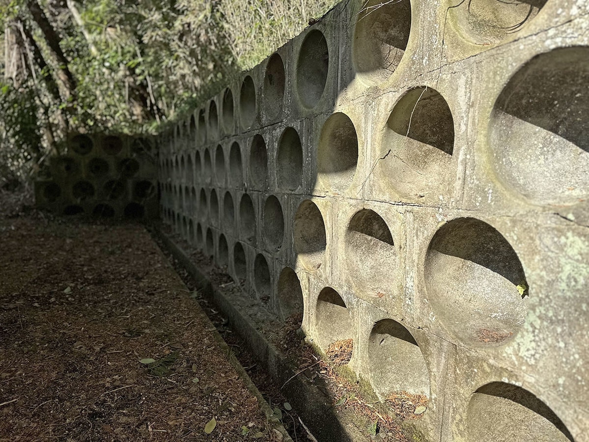 茨城・大子　蒟蒻神社