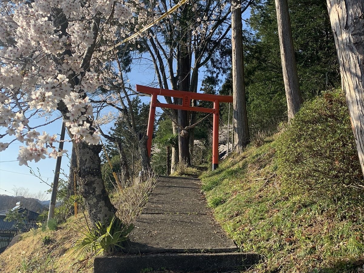 茨城・大子　蒟蒻神社