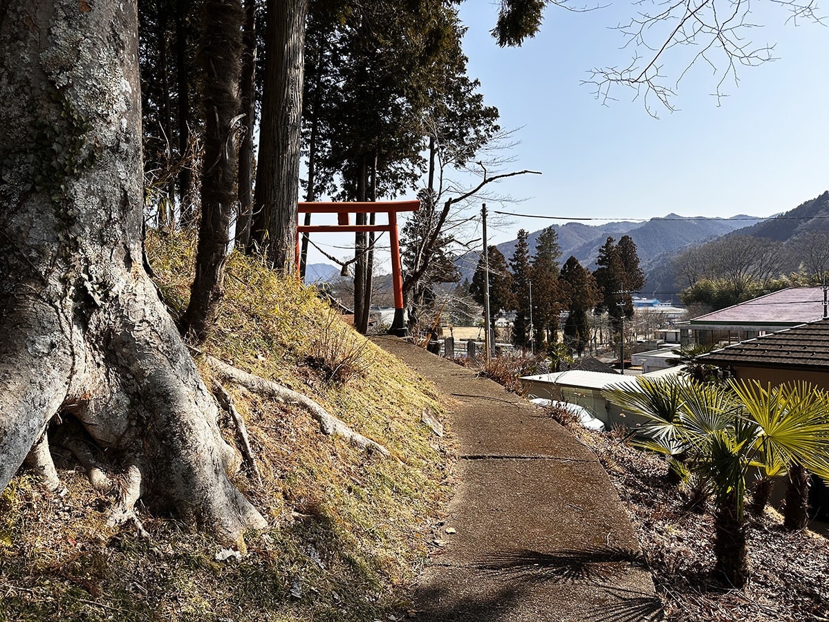 茨城・大子　蒟蒻神社