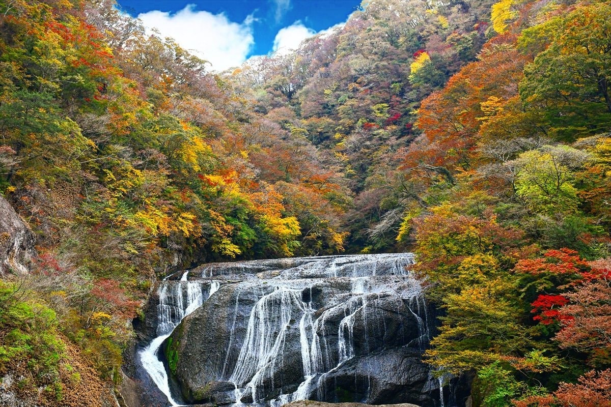 大子デパートフォトコンテスト　受賞作品