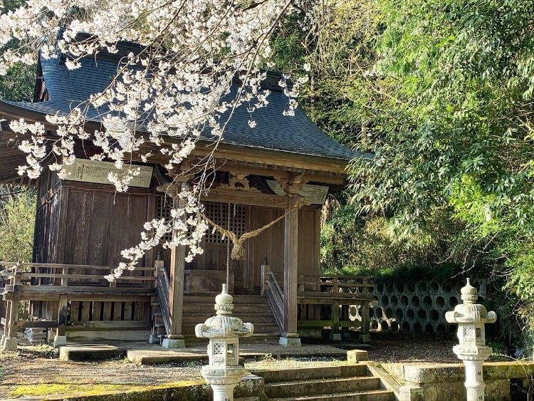 茨城・大子　蒟蒻神社