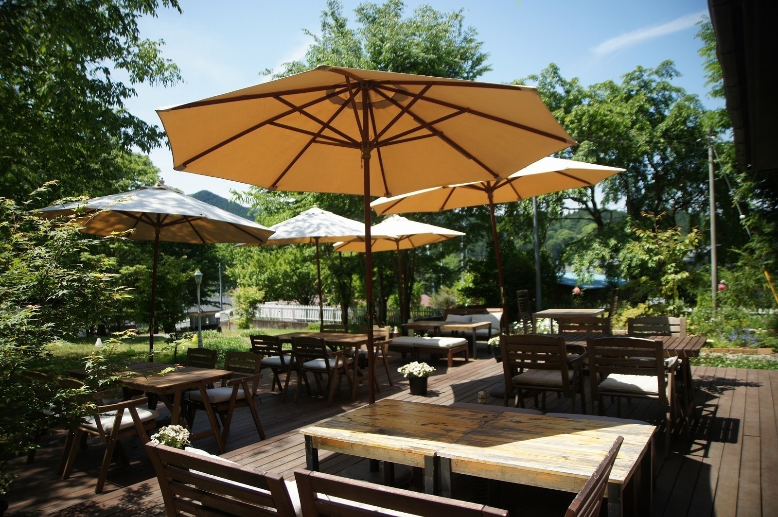 茨城・大子町でランチ・ディナー・居酒屋　カフェ＆ゲストハウス　咲くカフェ