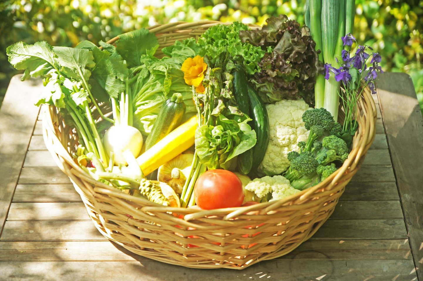 大子野菜　世界最高品質