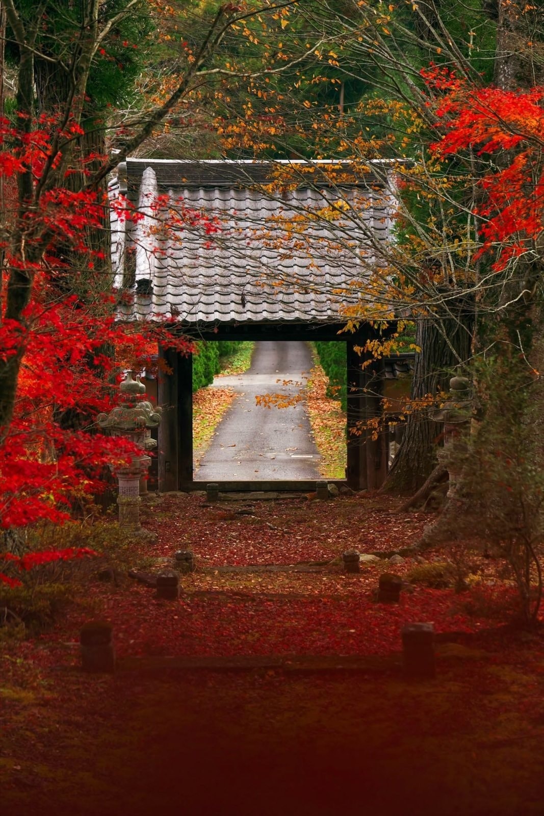 大子紅葉 受賞作品 大子デパートフォトコンテスト
